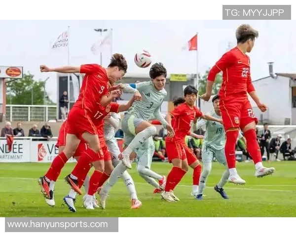 越南血统足球明星盘点与成就分析全景展示